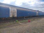 CPS FLT-034643-8